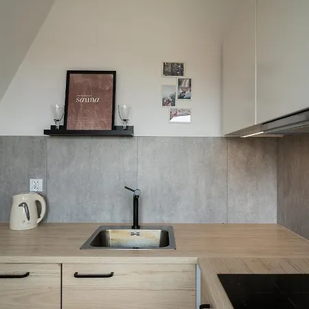 里奥公寓酒店 公寓 *